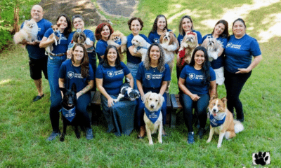 A cãoterapia leva amor e leveza para crianças internadas, trazendo sorrisos em cada visita. Foto: Reprodução/ Instagram: @doutoresdepatas2016