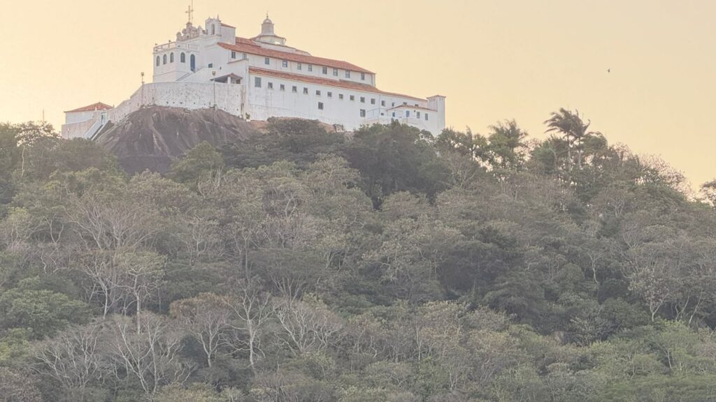 Mata do Convento da Penha está extremamente seca por conta da falta de chuvas. Foto: Andressa Missio