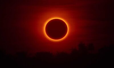 Prepare-se para o eclipse solar anular! O fenômeno do 'Anel de Fogo' poderá ser visto parcialmente em algumas regiões do Brasil no dia 2 de outubro. Foto: Matthew Starling - IstockPhoto