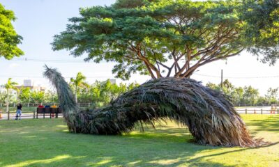 Últimos dias para visitar a exposição de esculturas gigantes