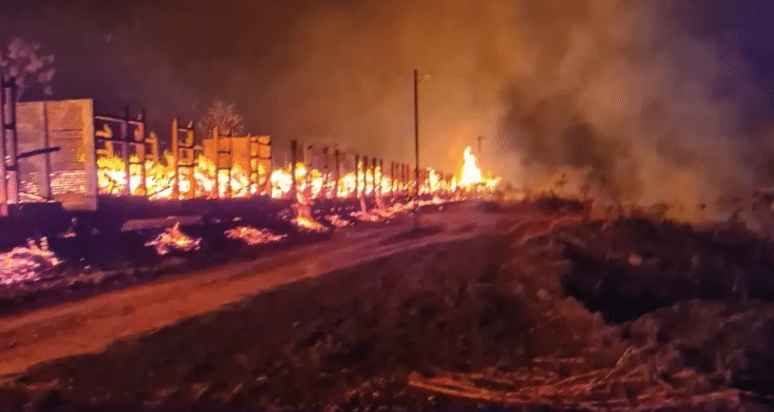 Viagens de trem entre Vitória e MG são suspensas após incêndio