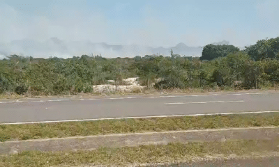 Ainda há fogo em área de vegetação em Guarapari