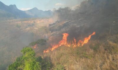 Polícia investiga incêndios criminosos no ES