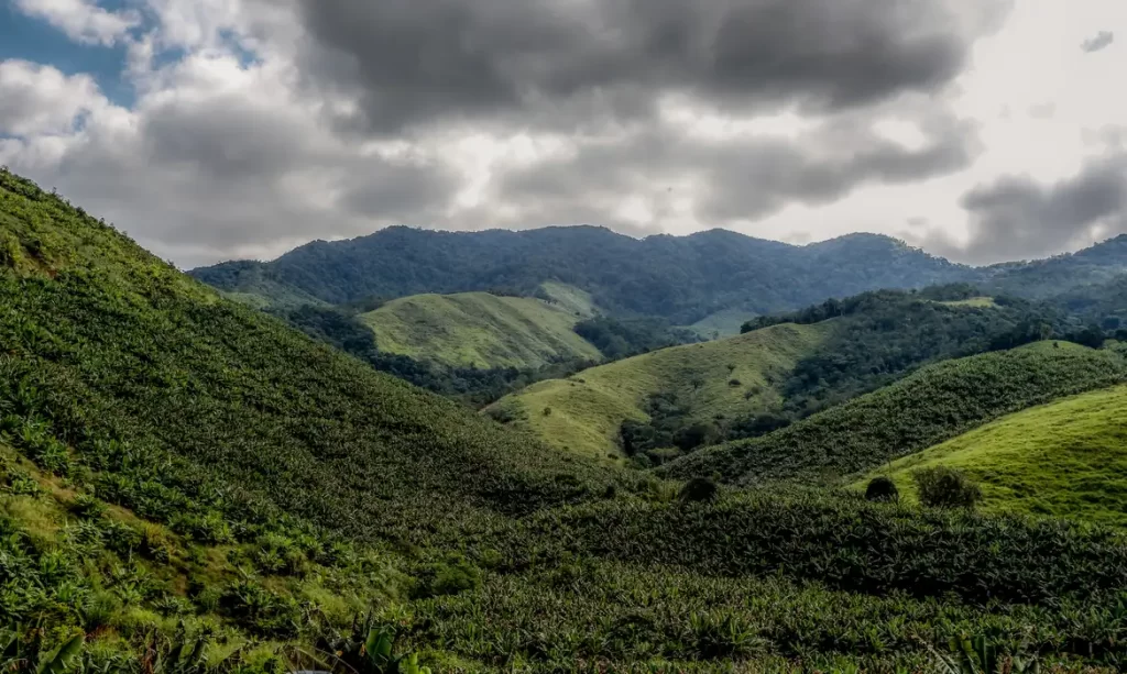 Morros com gramados e trechos de Mata Atlântica