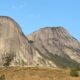 Pedra Azul. Palmeira falsa continua em Pedra Azul