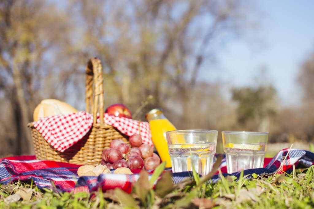 Fazer piquenique nos parques do ES é um programa diferente com os amigos e família. Foto: Freepik