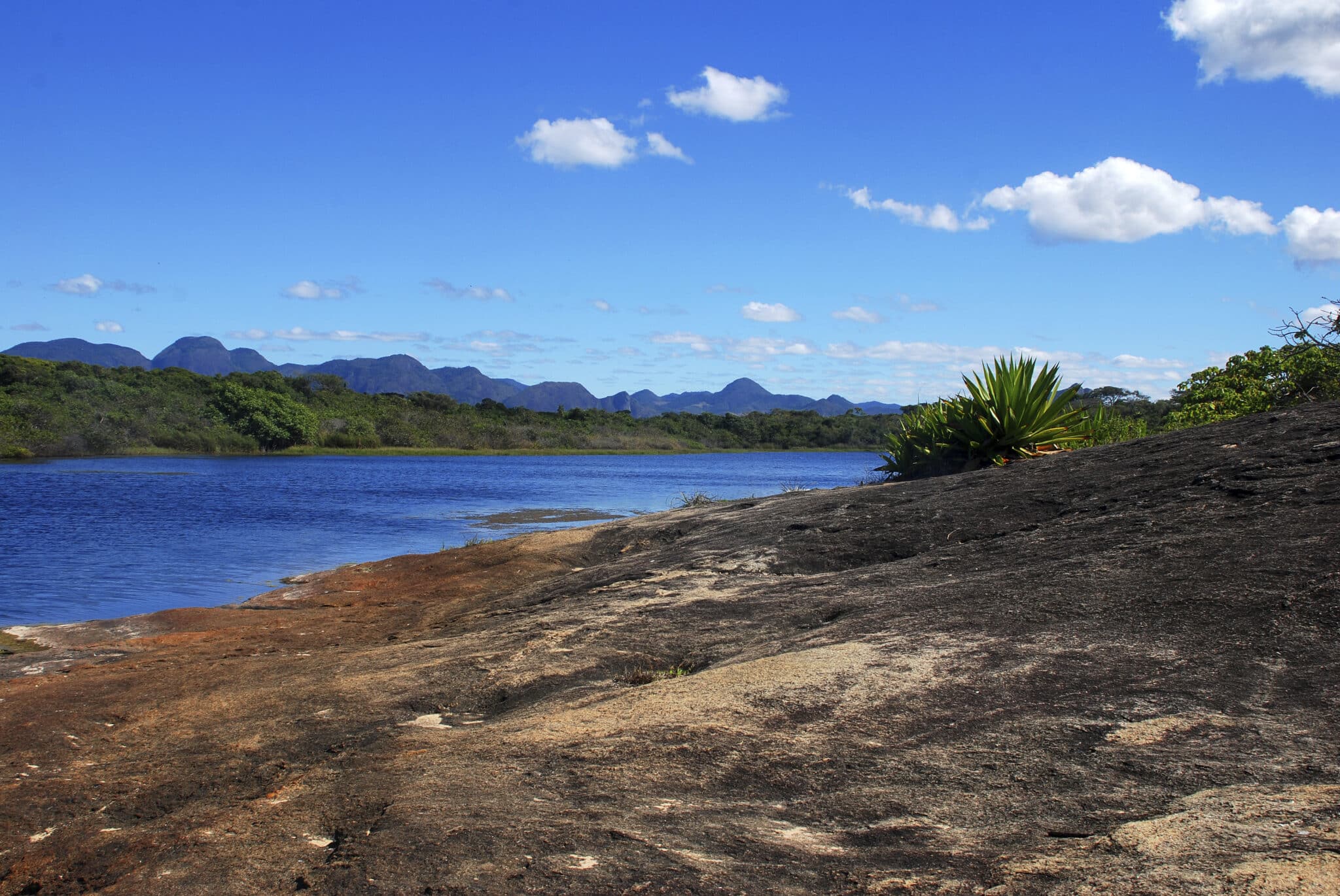 Parque Paulo César Vinha, em Guarapari. Foto: Leonardo Merçon/Instituto Últimos Refúgios