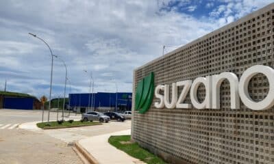 A Suzano é a maior produtora mundial de celulose, uma das maiores produtoras de papéis da América Latina. Foto: Divulgação