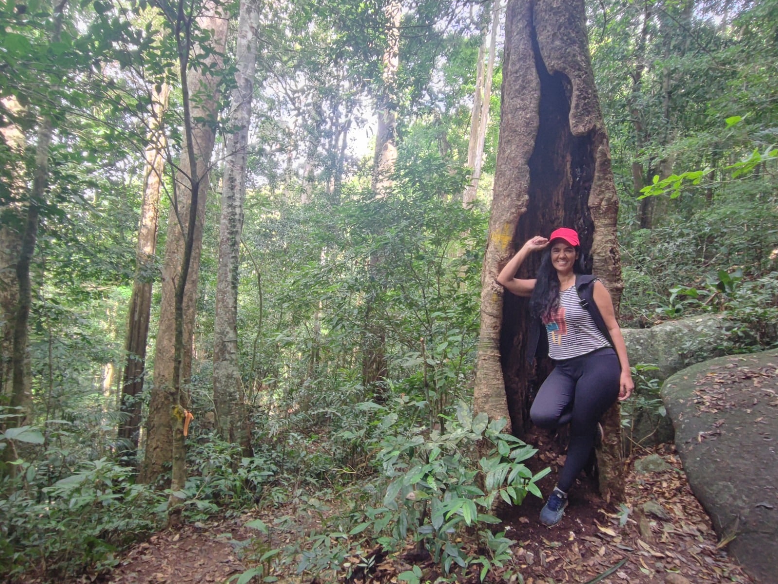 Encarar as trilhas do Mestre Álvaro é descobrir uma aventura em cada passo e ser recompensado com um dos visuais mais bonitos do Espírito Santo. Foto: Geylla Sall