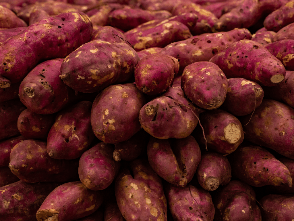 Os benefícios da batata-doce vão muito além do sabor, contribuindo para a saúde de diversas formas. Foto: Divulgação