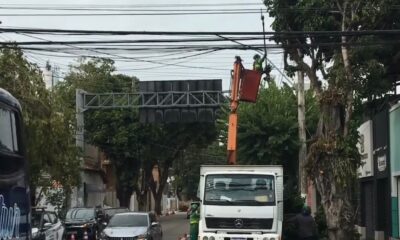 Acidentes: após denúncia, árvores são podadas em Vila Velha