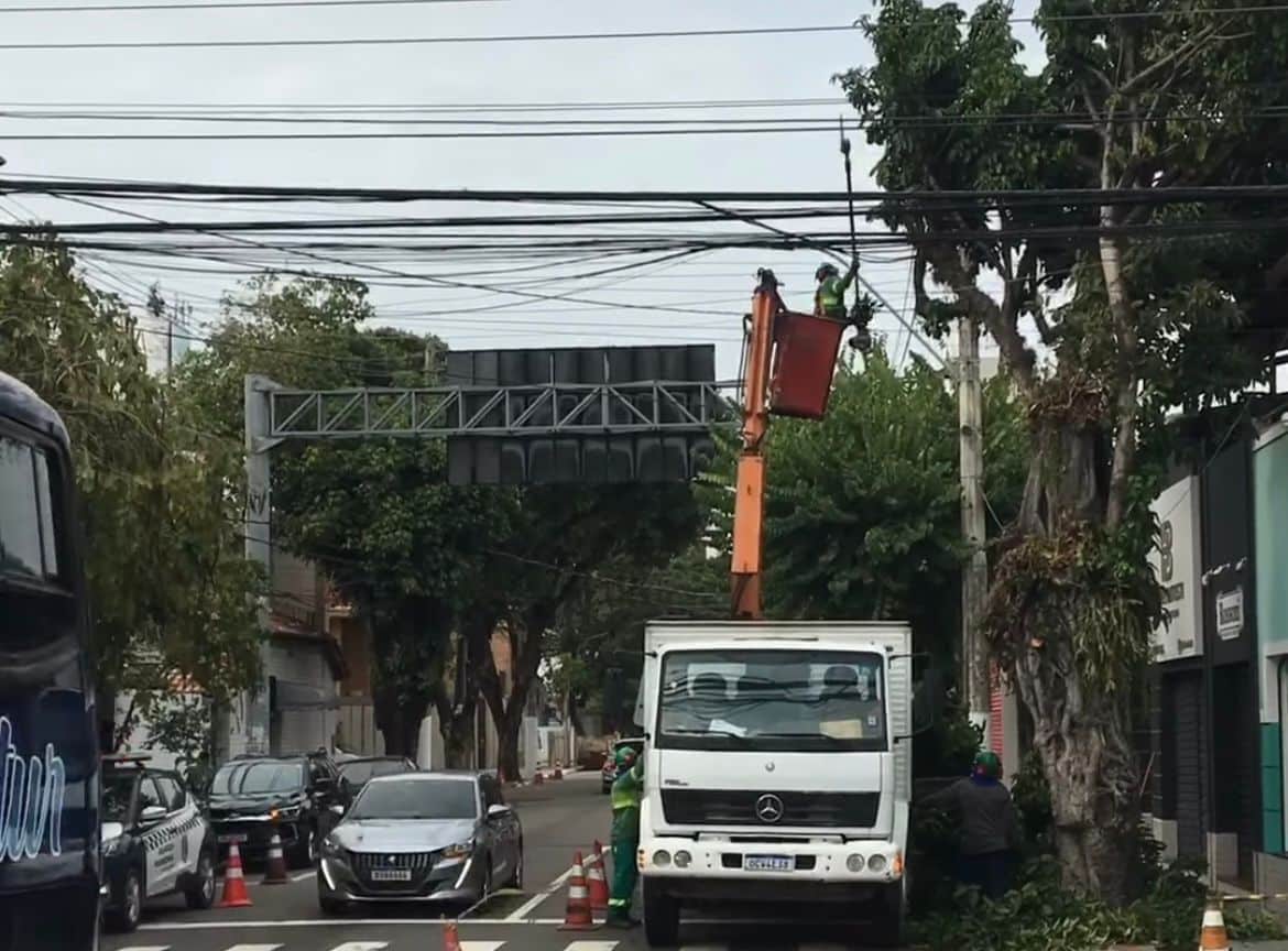 Acidentes: após denúncia, árvores são podadas em Vila Velha