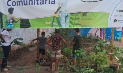 No coração de Vila Velha, o projeto Tons de Amora transforma vidas através da horta comunitária. Foto: Reprodução/Instgaram: @tonsdeamoras_