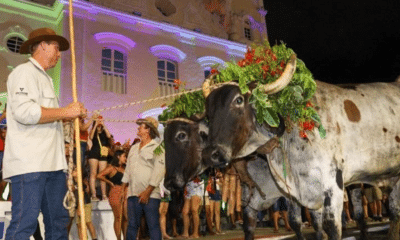 A Festa de São Benedito já começou a encantar a Serra com tradição, cultura e muita emoção. Foto: Edson Reis/Secom