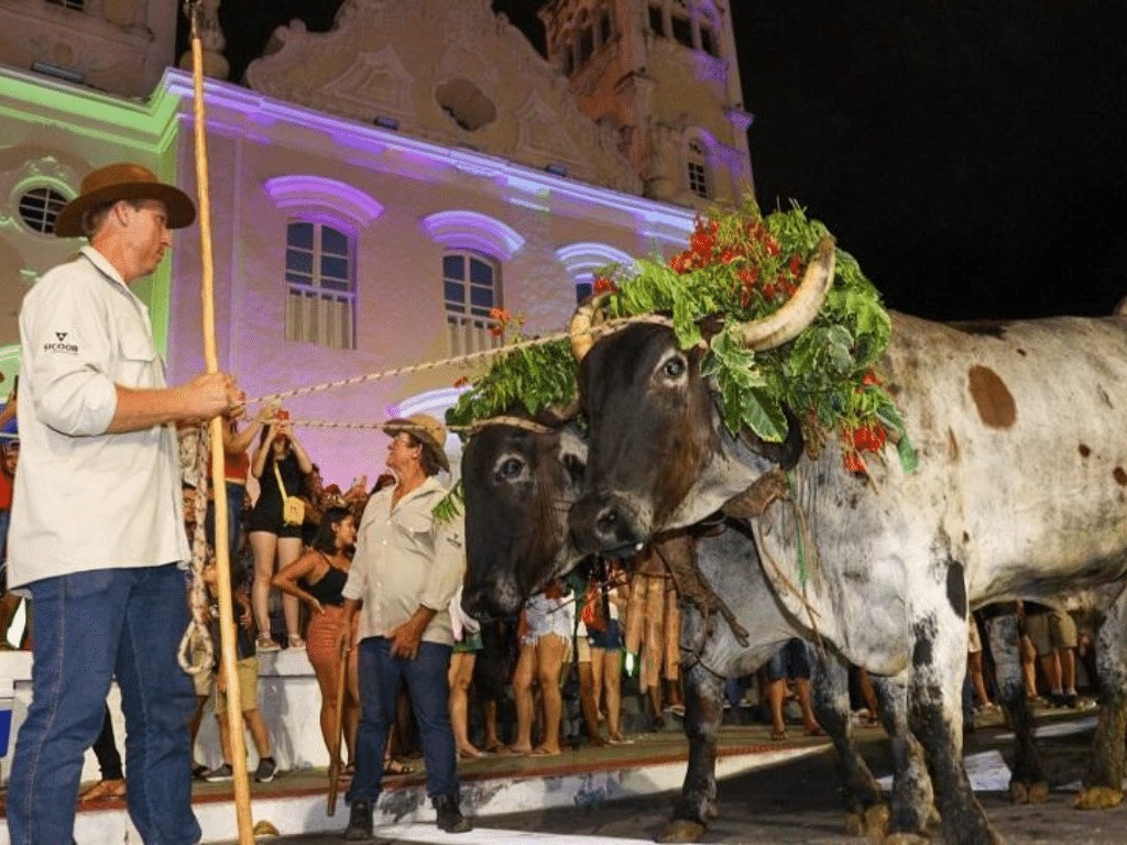 A Festa de São Benedito já começou a encantar a Serra com tradição, cultura e muita emoção. Foto: Edson Reis/Secom