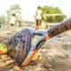 O torneio mundial de beach tennis reúne esportistas, inclusão e atrações diversas na Praia de Camburi. Foto: Divulgação