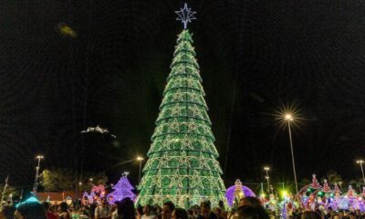 Árvore gigante e tobogã entre as atrações da Vila Natalina em VV.