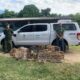 A ação do Iema e PMA no combate aos cativeiros ilegais resgatou diversas espécies ameaçadas, reforçando a importância da preservação da fauna local. Foto: Governo do ES