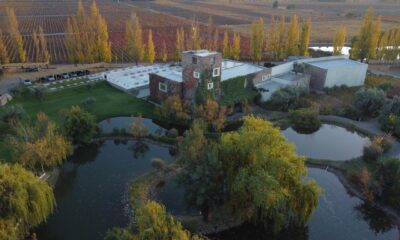 Vinícola Renacer fica em Luján de Cuyo,, na Argentina. Foto: Divulgação