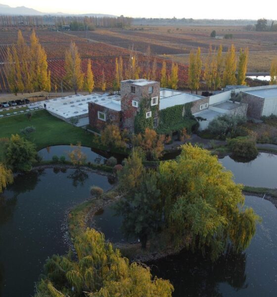 Vinícola Renacer fica em Luján de Cuyo,, na Argentina. Foto: Divulgação