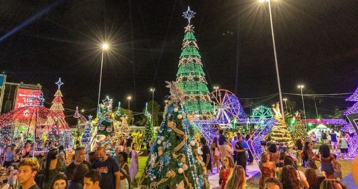 Árvore gigante e tobogã entre as atrações da Vila Natalina em VV