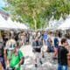 Feira de Antiguidade da Rua da Lama em Jardim da Penha. Foto: Divulgação