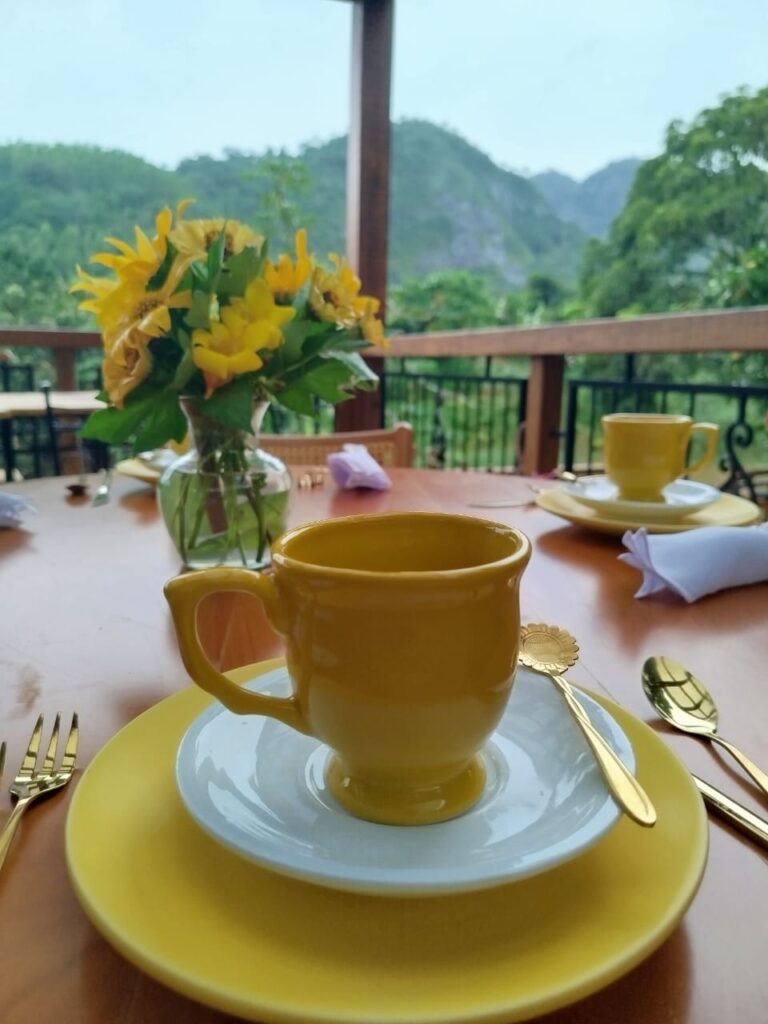 Florada Café, em Ibiraçu