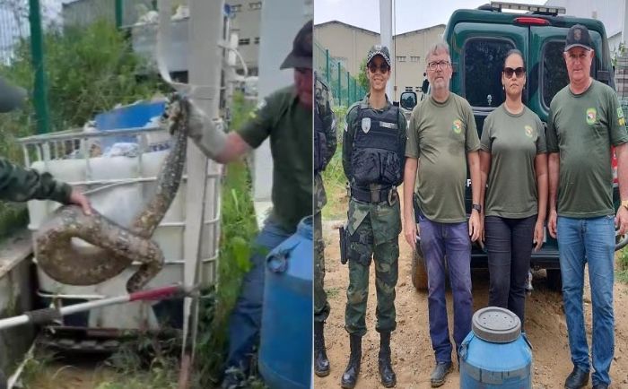 Jiboia é resgatada na Serra