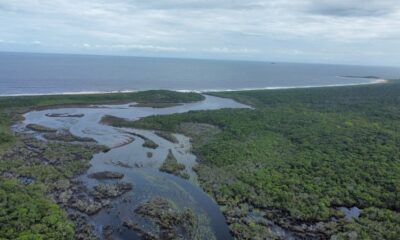 Processo natural de rompimento da Lagoa de Caraís renova águas, atrai fauna diversificada e reabre trilhas para visitação no parque. Foto: Governo do Estado do Espírito Santo