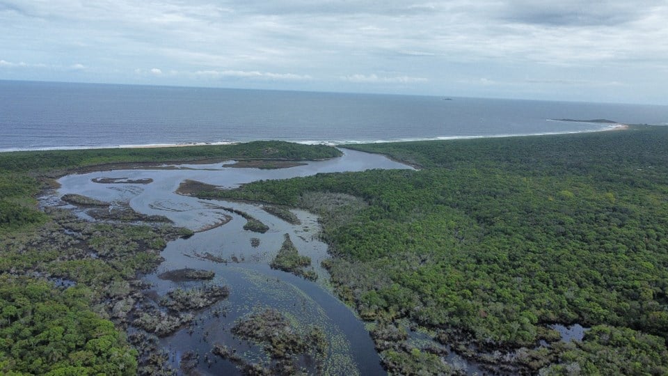 Processo natural de rompimento da Lagoa de Caraís renova águas, atrai fauna diversificada e reabre trilhas para visitação no parque. Foto: Governo do Estado do Espírito Santo