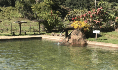 Opções de agroturismo na Serra oferecem lazer, produtos artesanais e contato com a natureza. Foto: Reprodução/Instagram