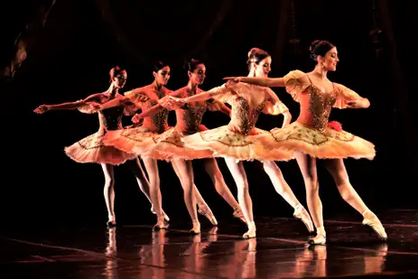 Pessoas com mais escolaridade e maior renda têm mais acesso a atividades como o balé. Foto: Divulgação/Theatro Municipal do Rio de Janeiro