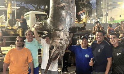 Pescadores exibem peixe gigante de 4 metros e 328 kg no píer de Guarapari. Foto: Reprodução/ Redes Sociais (@vitoriateam)