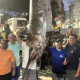 Pescadores exibem peixe gigante de 4 metros e 328 kg no píer de Guarapari. Foto: Reprodução/ Redes Sociais (@vitoriateam)