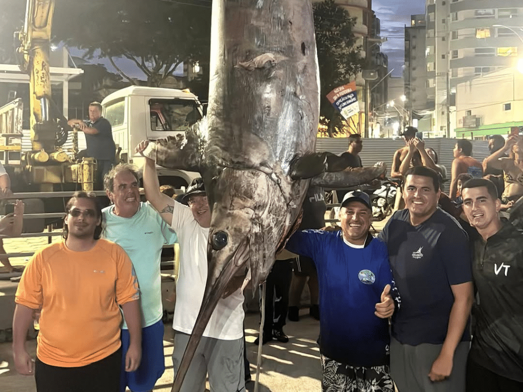 Pescadores exibem peixe gigante de 4 metros e 328 kg no píer de Guarapari. Foto: Reprodução/ Redes Sociais (@vitoriateam)