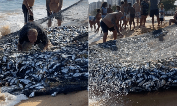 Rede com 1 tonelada de peixe impressiona em praia de Itapuã, em Vila Velha