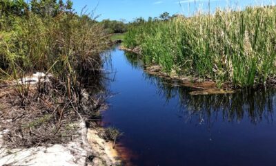 Alagamento temporário na Lagoa de Caraís reforça a necessidade de preservação ambiental. Foto: Divulgação