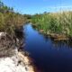 Alagamento temporário na Lagoa de Caraís reforça a necessidade de preservação ambiental. Foto: Divulgação