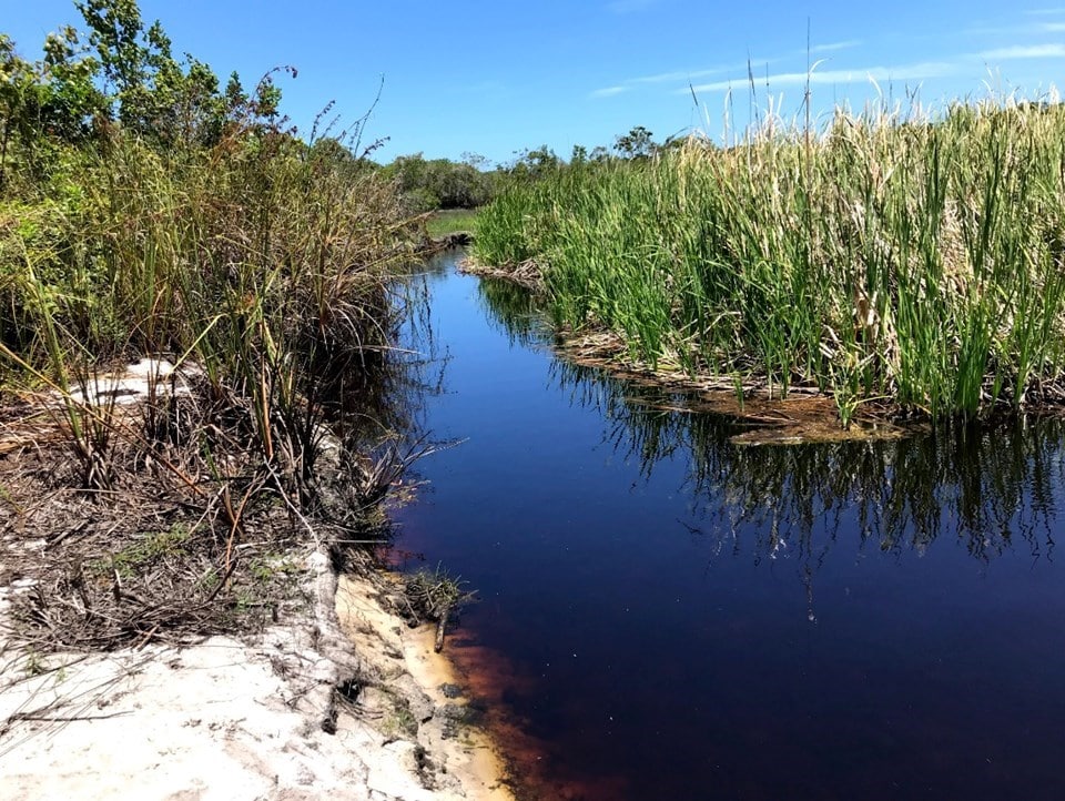 Alagamento temporário na Lagoa de Caraís reforça a necessidade de preservação ambiental. Foto: Divulgação