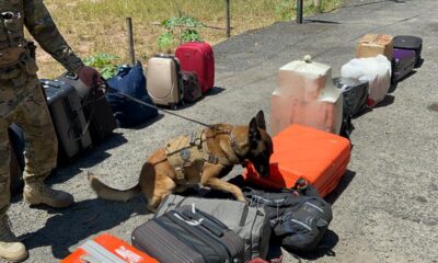 Apreensão de 21 kg de drogas em ônibus com destino a Vitória