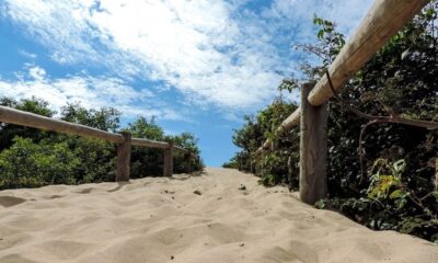 Atividades acontecem na sede do Parque Estadual de Itaúnas. Foto: Paulo Sena/Seama