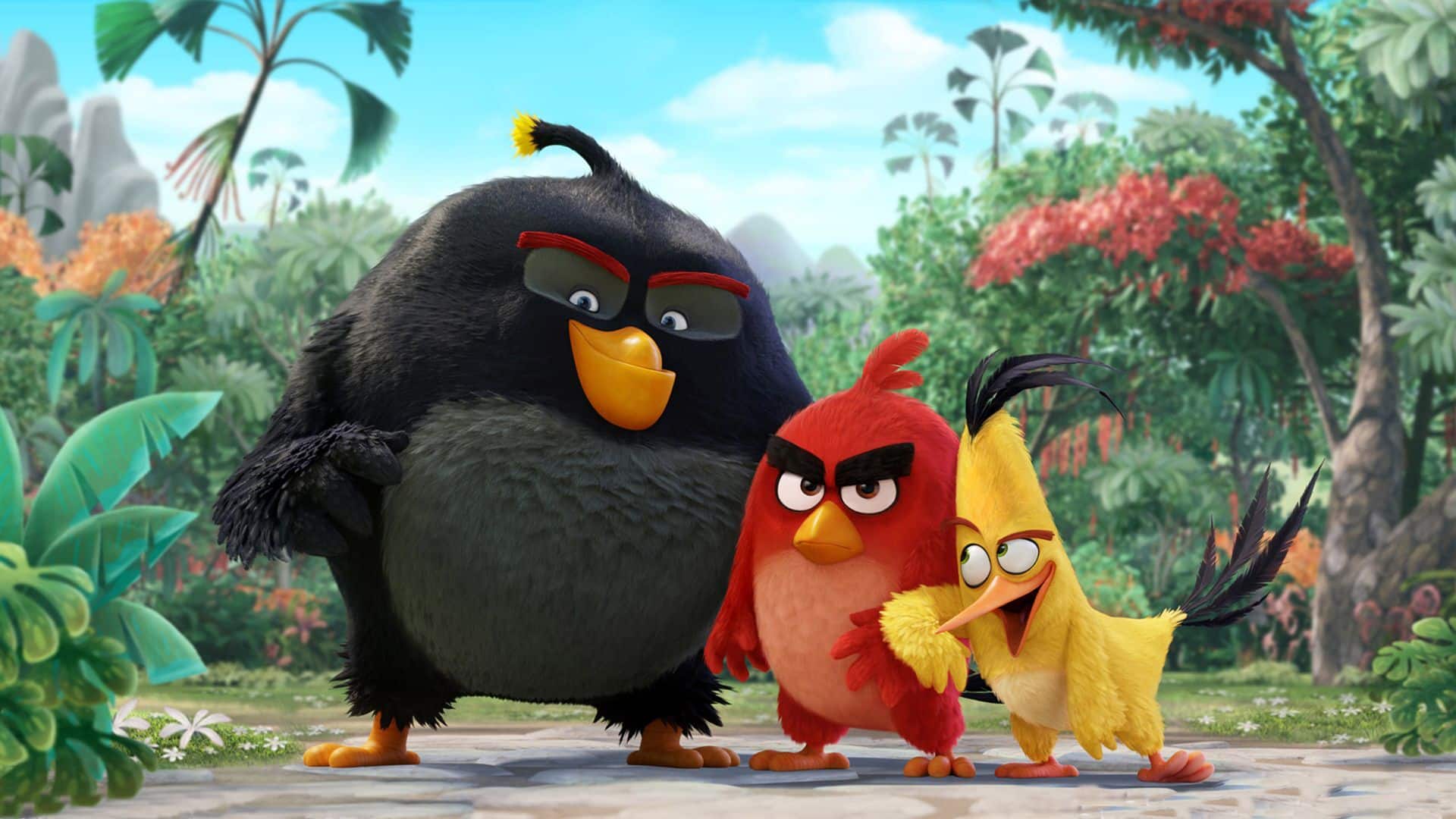 Angry Birds - O Filme. Foto: Divulgação