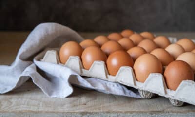 Marcação nos ovos era para começar em março. Foto: Freepik