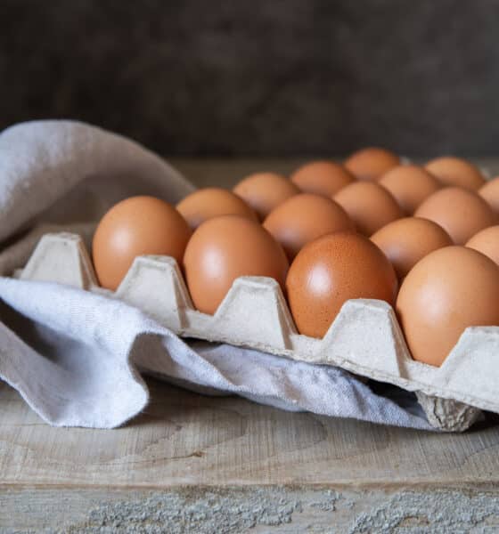 Marcação nos ovos era para começar em março. Foto: Freepik