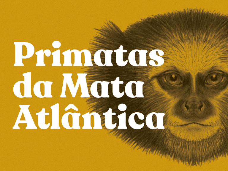 A exposição Primatas da Mata Atlântica une fotos, sons e ilustrações para revelar a vida de 24 espécies ameaçadas, convidando à reflexão sobre conservação. Foto: Divulgação