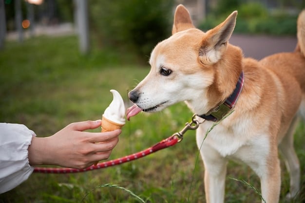 Sorvete para pets é uma maneira de refrescar no calor. Foto: Freepik