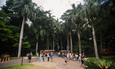 Parque Aberto traz atrações musicais e atividades para toda a família no Parque Cultural da Casa do Governador, em um dia repleto de cultura e diversão. Foto: Divulgação