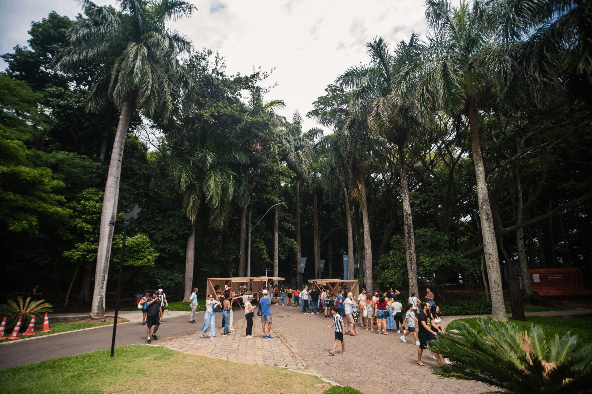 Parque Aberto traz atrações musicais e atividades para toda a família no Parque Cultural da Casa do Governador, em um dia repleto de cultura e diversão. Foto: Divulgação