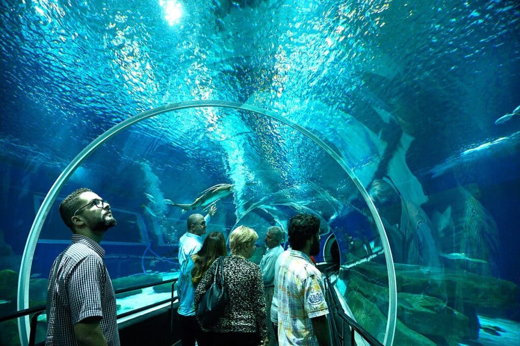 aquario