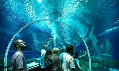 aquario